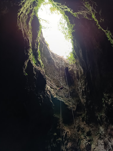 Google Photo