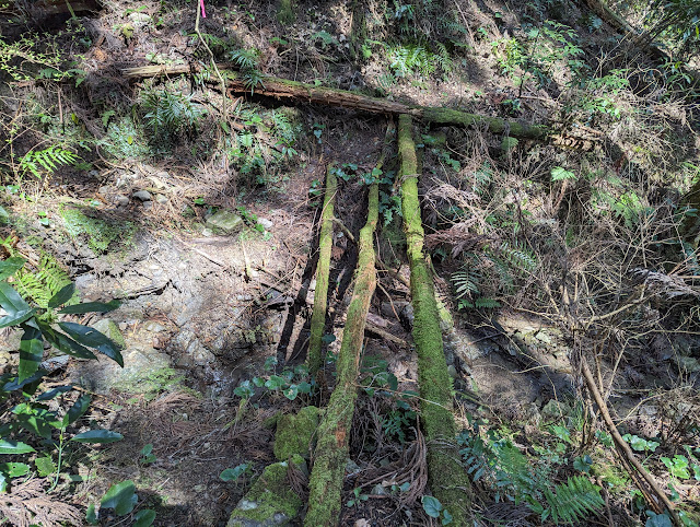 川沿いを行ったり来たりするので、数カ所渡渉ポイントがあります。