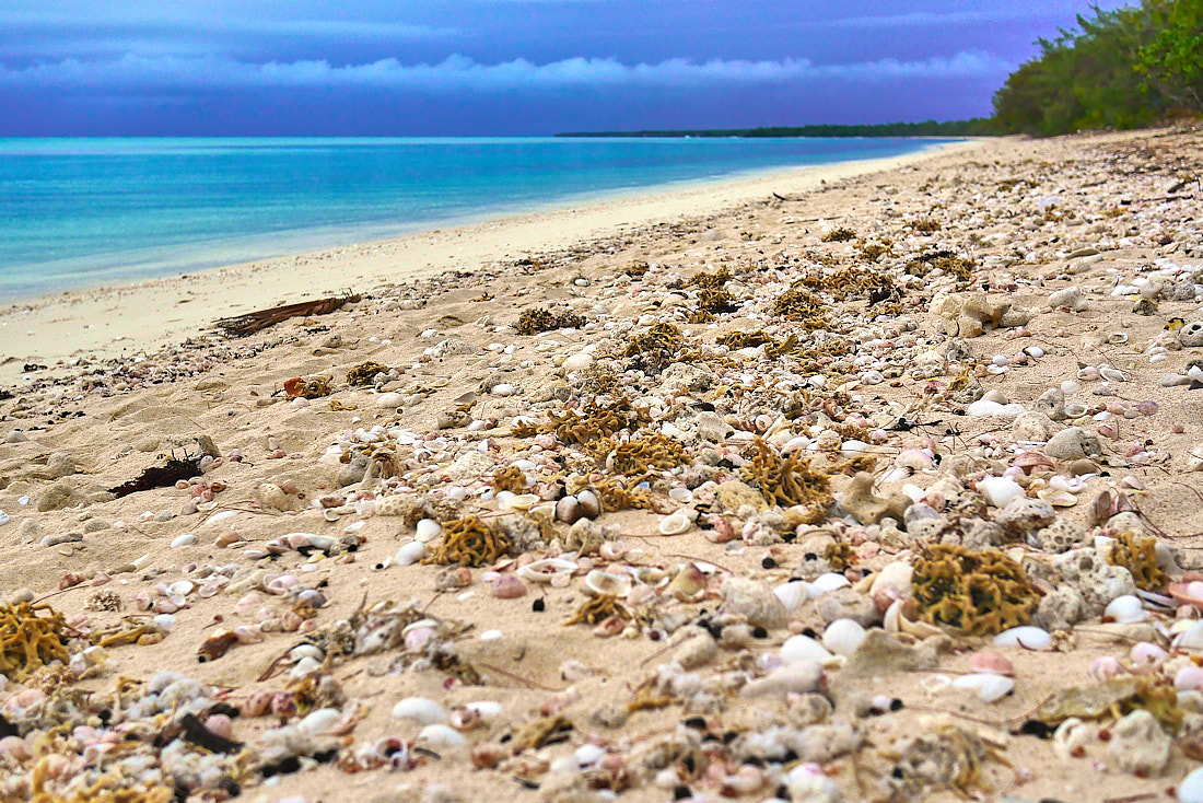 Новая Каледония отзывы об островах Иль де Пен (Ile des Pins) и атолле Увеа (Ouvea).