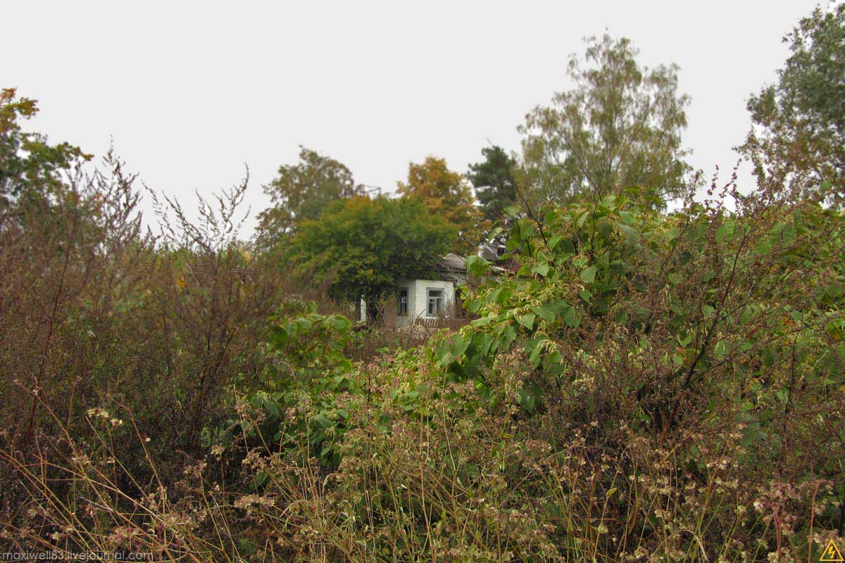 26-IMG-7222