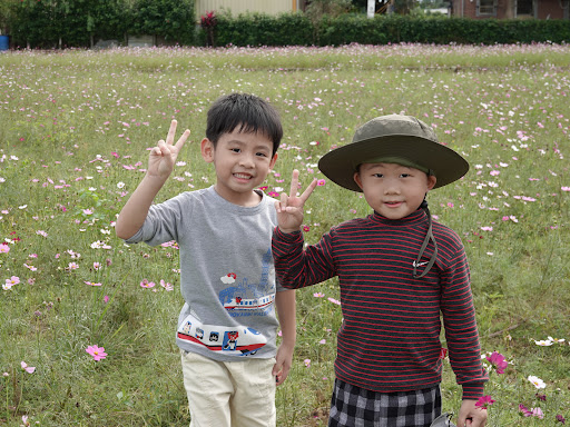 slider image 31
