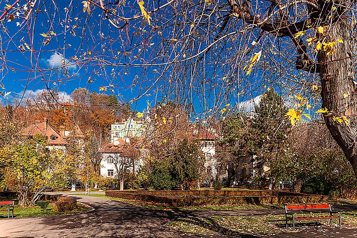 Brașov