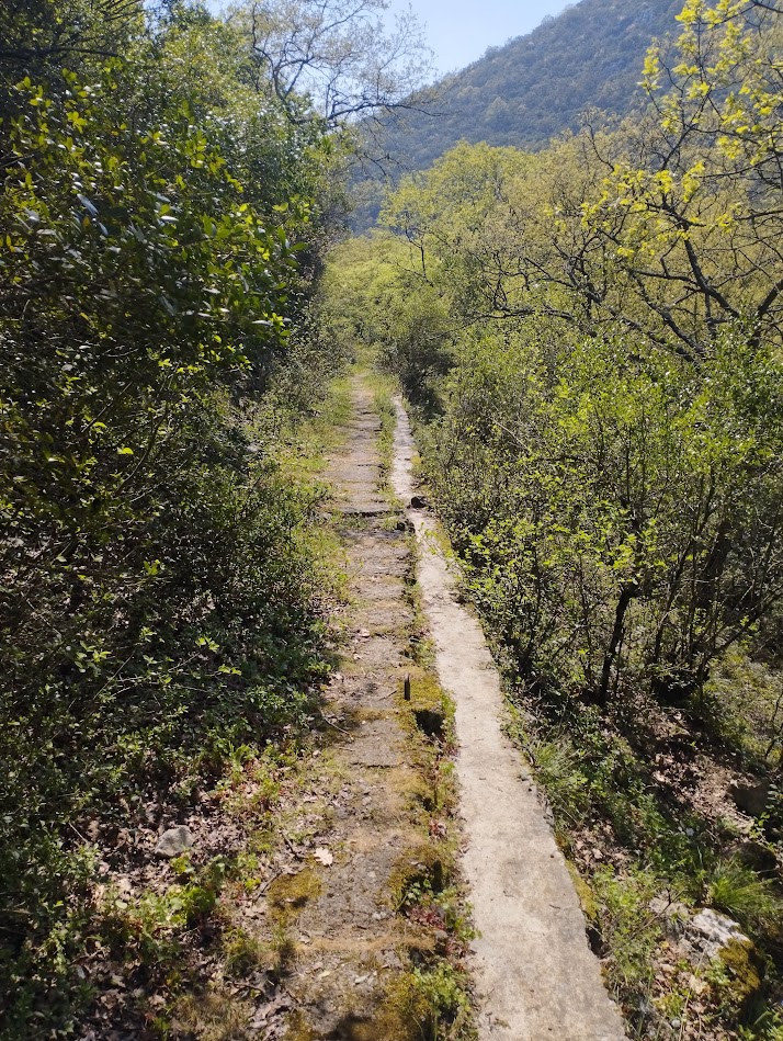 Тропа Артемии