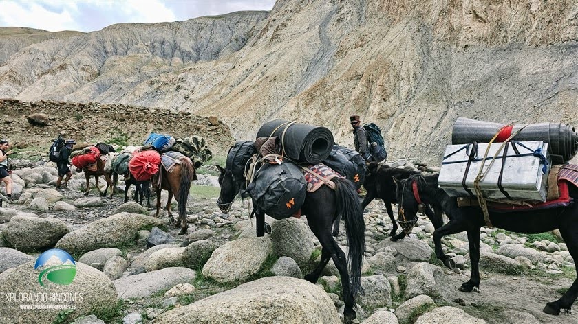 Trekking al Valle de Markha: El viaje que cambió nuestra forma de ver la montaña