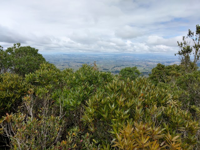 Sanctuary Mountain Maungatautari Rocky Outcrop Peak