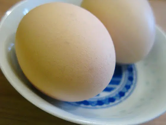 chinese, egg, recipe, steamed egg, steamed egg custard, 蒸蛋