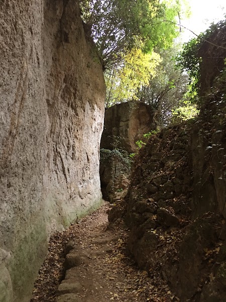 Le Vie Cave, suggestiva rete viaria di epoca etrusca