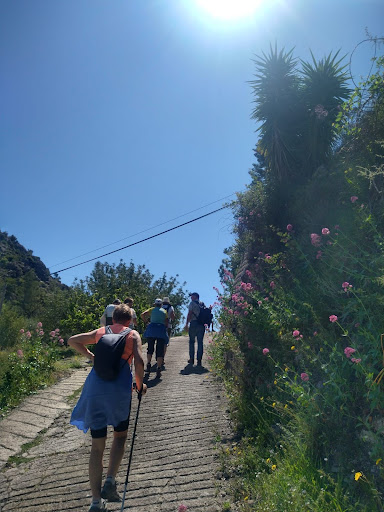 Google Photo