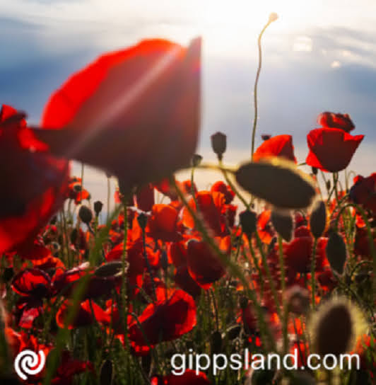ANZAC Day services will be held across South Gippsland tomorrow to honour and remember those who served. View local service times