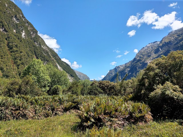 Milford Track Clinton Valley