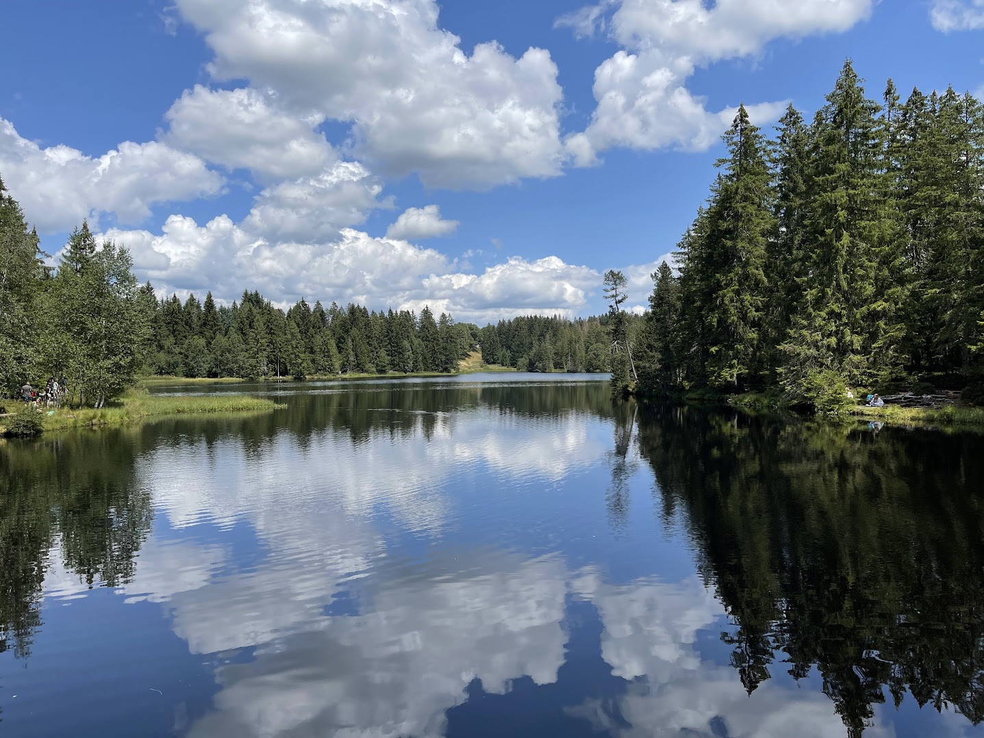 Réserve naturelle de l'étang de la Gruère