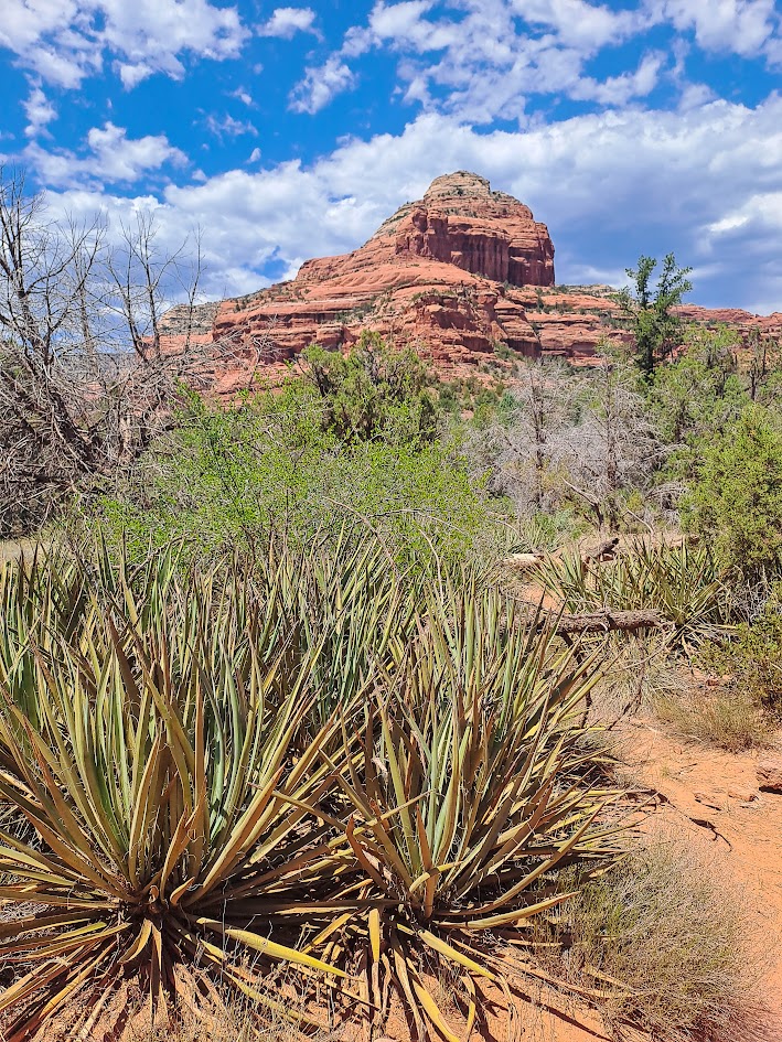 Boynton trail Sedona