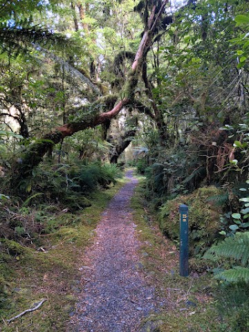 Milford Track