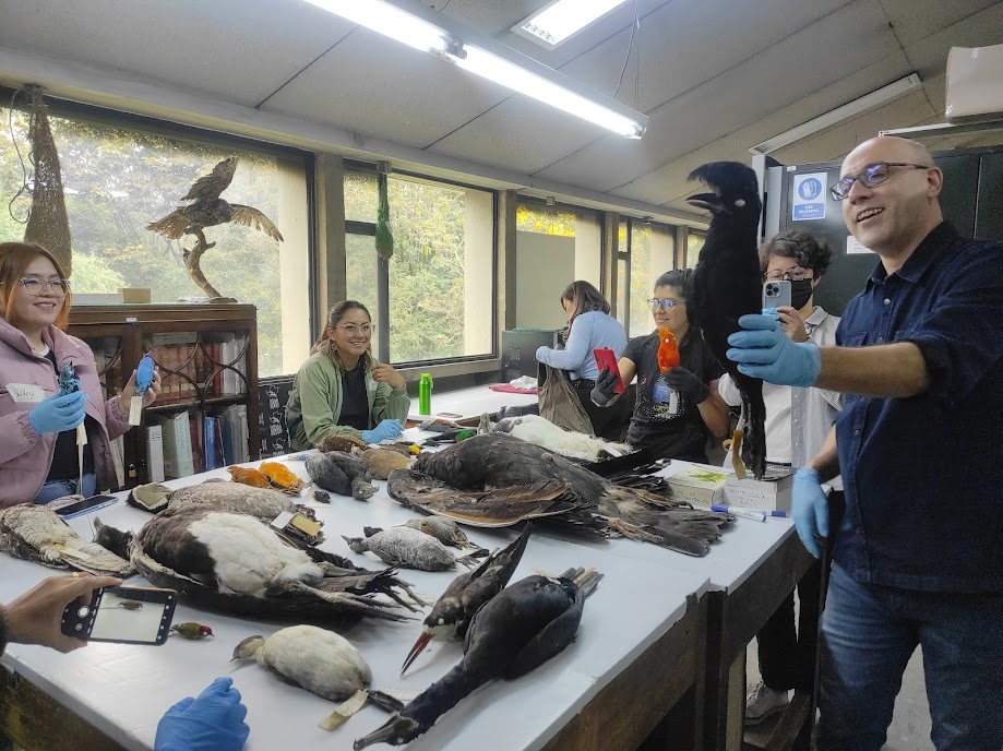 En riesgo, el corazón científico de las aves en Colombia