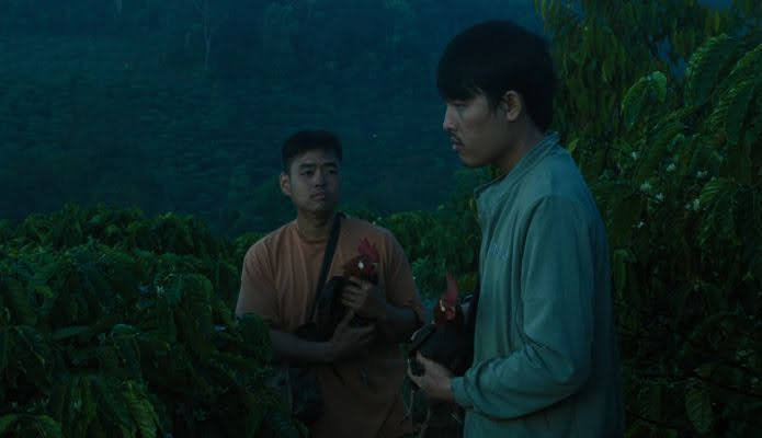 El árbol de las mariposas doradas película