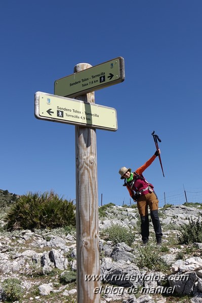 Puerto Corona-Oreganeros-Torrecilla-Atalayas