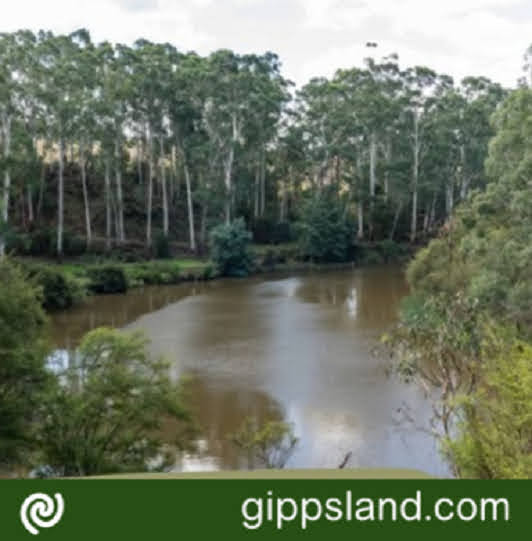 The Catchment Planning Climate Change Lead drives the West Gippsland Regional Catchment Strategy, collaborating with stakeholders to protect land, water, biodiversity, and sustainability