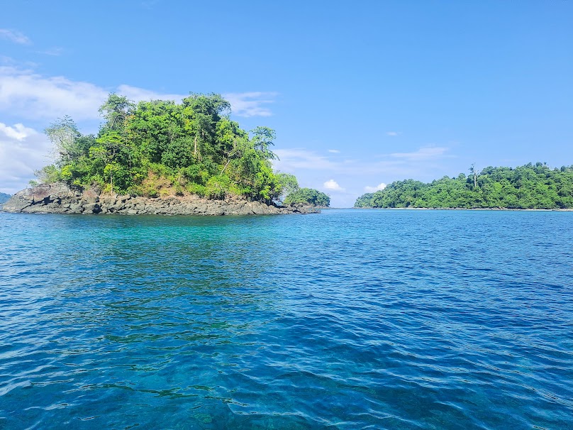 Coiba PMT