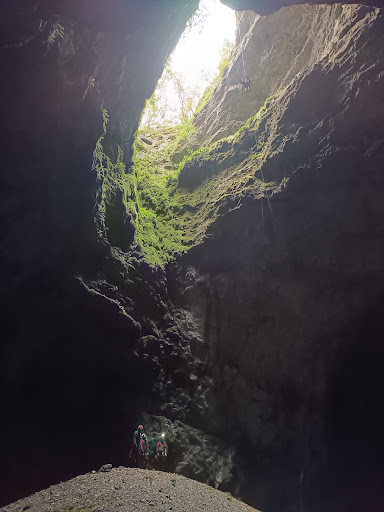 Google Photo