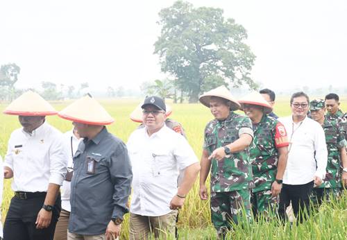Panen Raya Padi di Ngawi, Meningkatkan Ketahanan Pangan Demi Indonesia Mandiri Pangan