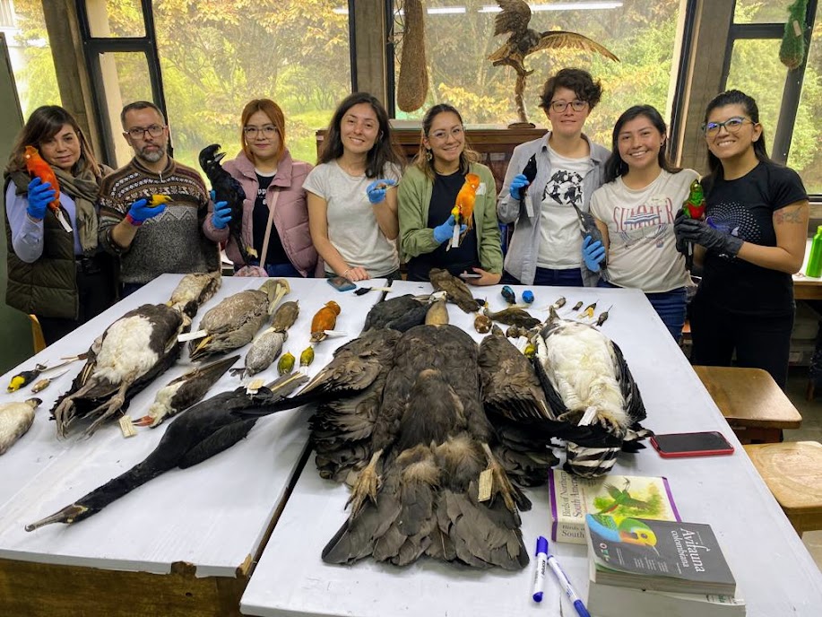 En riesgo, el corazón científico de las aves en Colombia