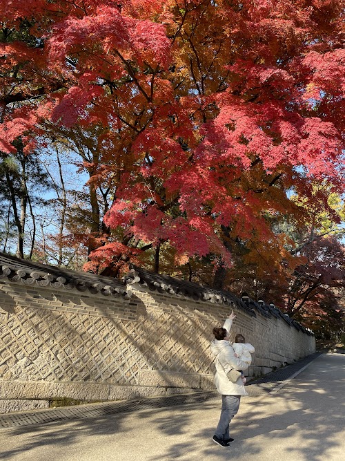 Ikseondong, Changdeokgung y paseo por Myeongdong - Corea del Sur con bebé Noviembre 2023 (19)