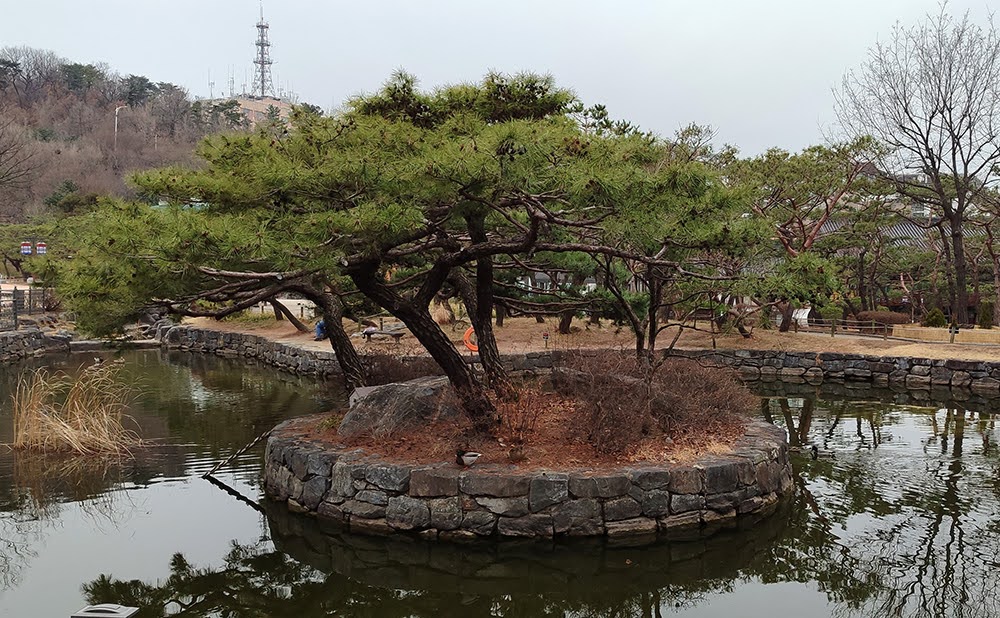 Южная Корея, горнолыжка Yongpyong