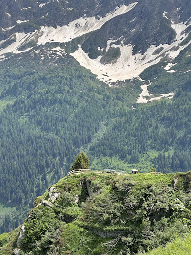 Google Photo
