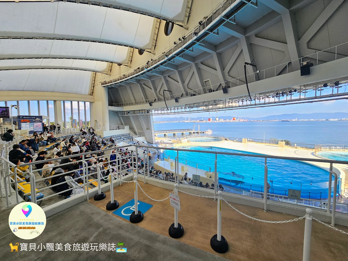 [旅遊]日本 福岡 觀賞獨特魅力的海洋生物 九州人氣景點 海