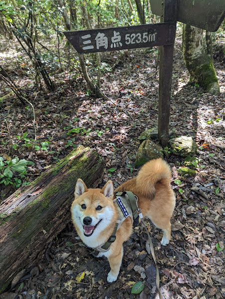 明神ヶ岳に到着です。楽勝やなぁｗ