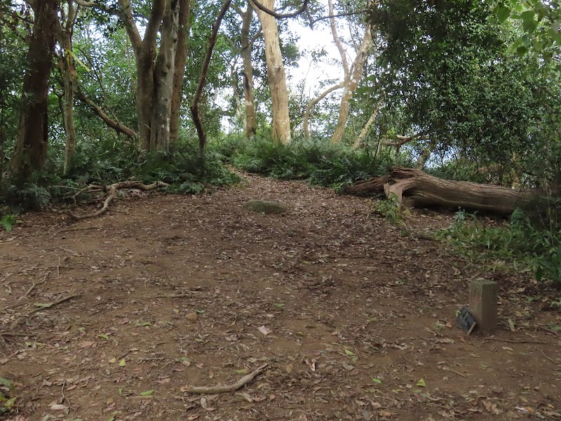 2024_苗栗～汶水三山**