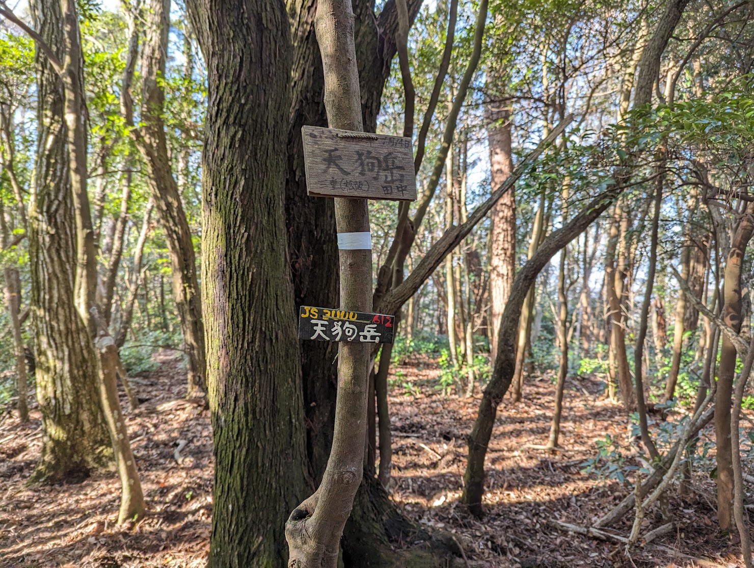 天狗岳に到着！