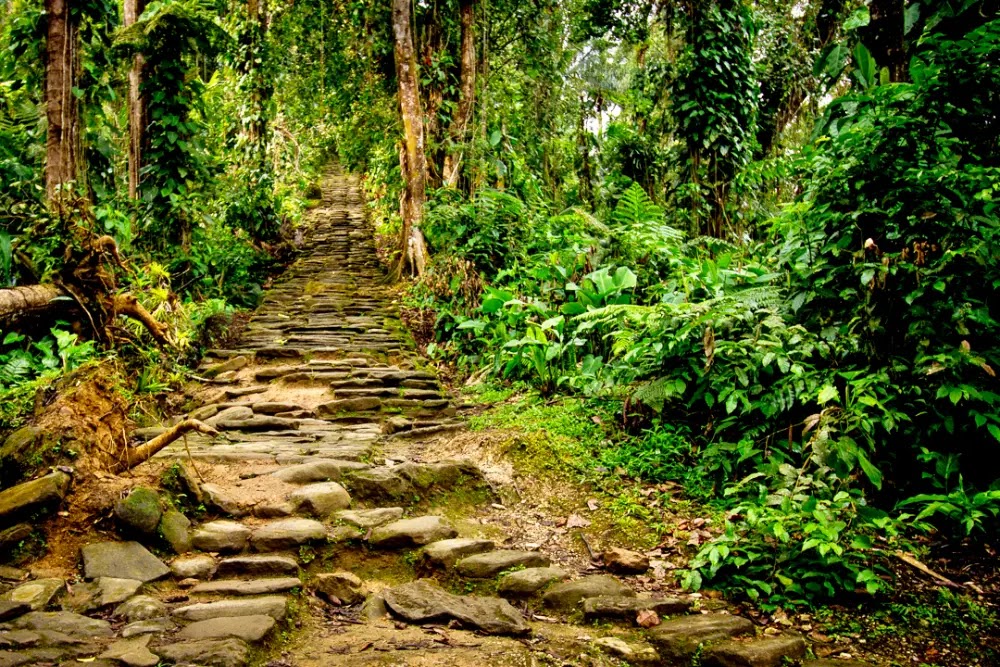 Ciudad Perdida