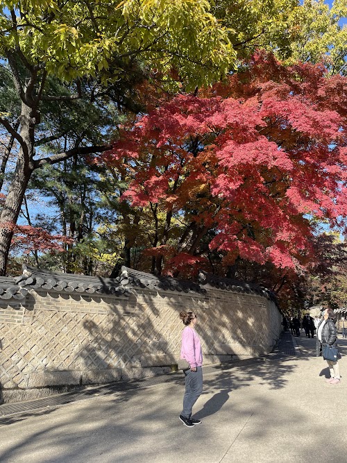 Ikseondong, Changdeokgung y paseo por Myeongdong - Corea del Sur con bebé Noviembre 2023 (14)