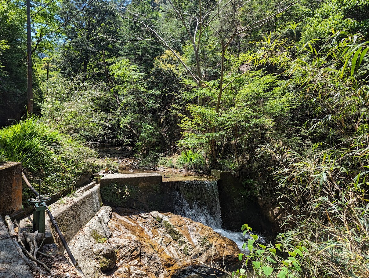 川沿いの細い道を、登山道を探しながら歩いていきます。