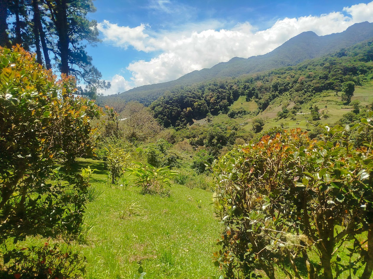 Las 3 cascadas - Lost waterfalls