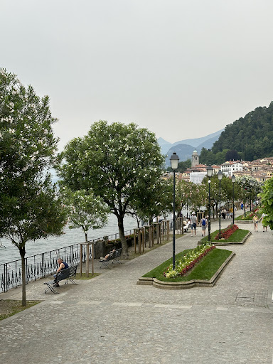Google Photo
