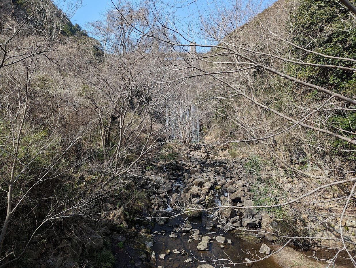 菊水山を下ってきた川沿いのダムです。立派ですね。