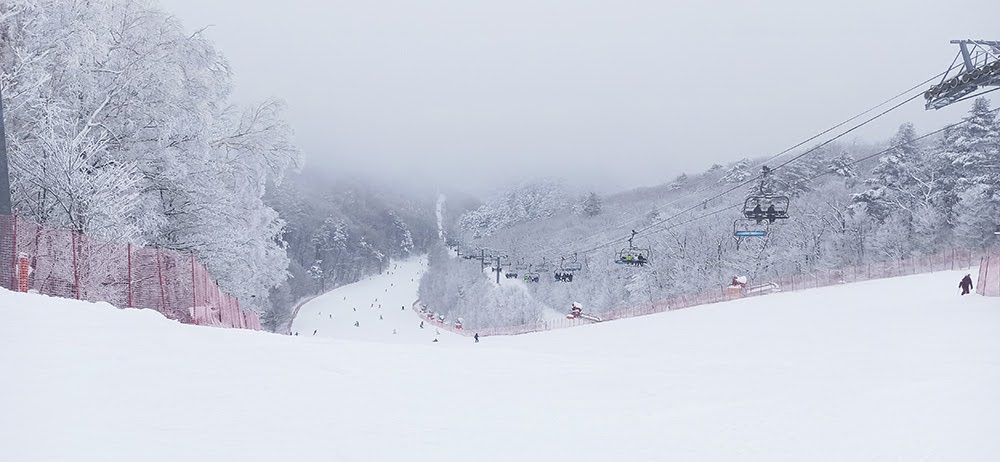 Южная Корея, горнолыжка Yongpyong