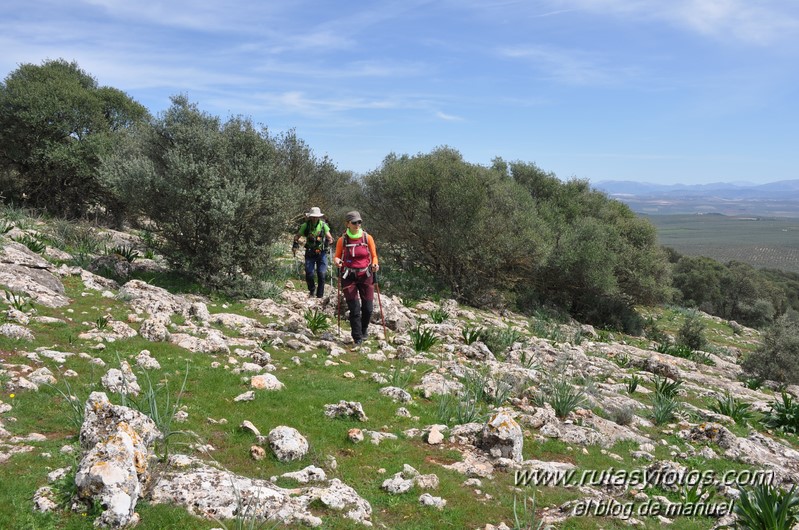 Sierra de Mollina