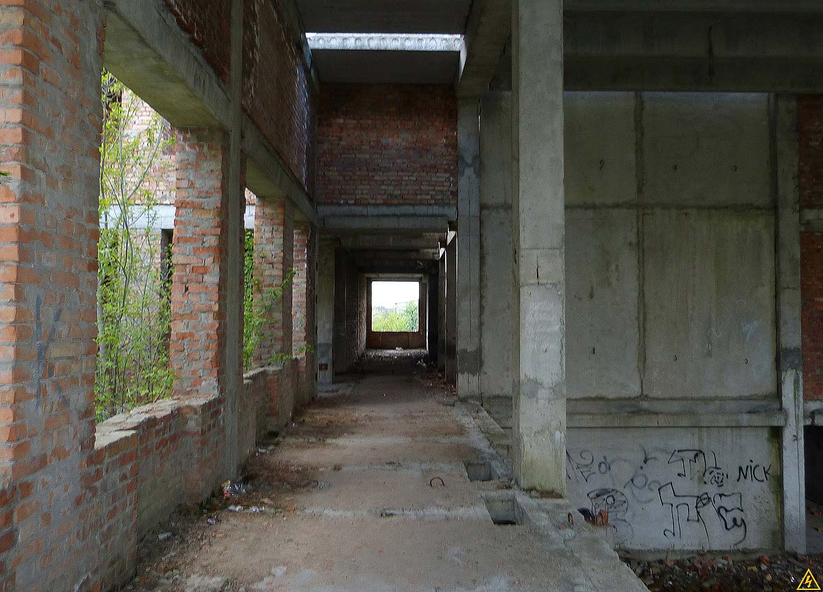 10-P1050290