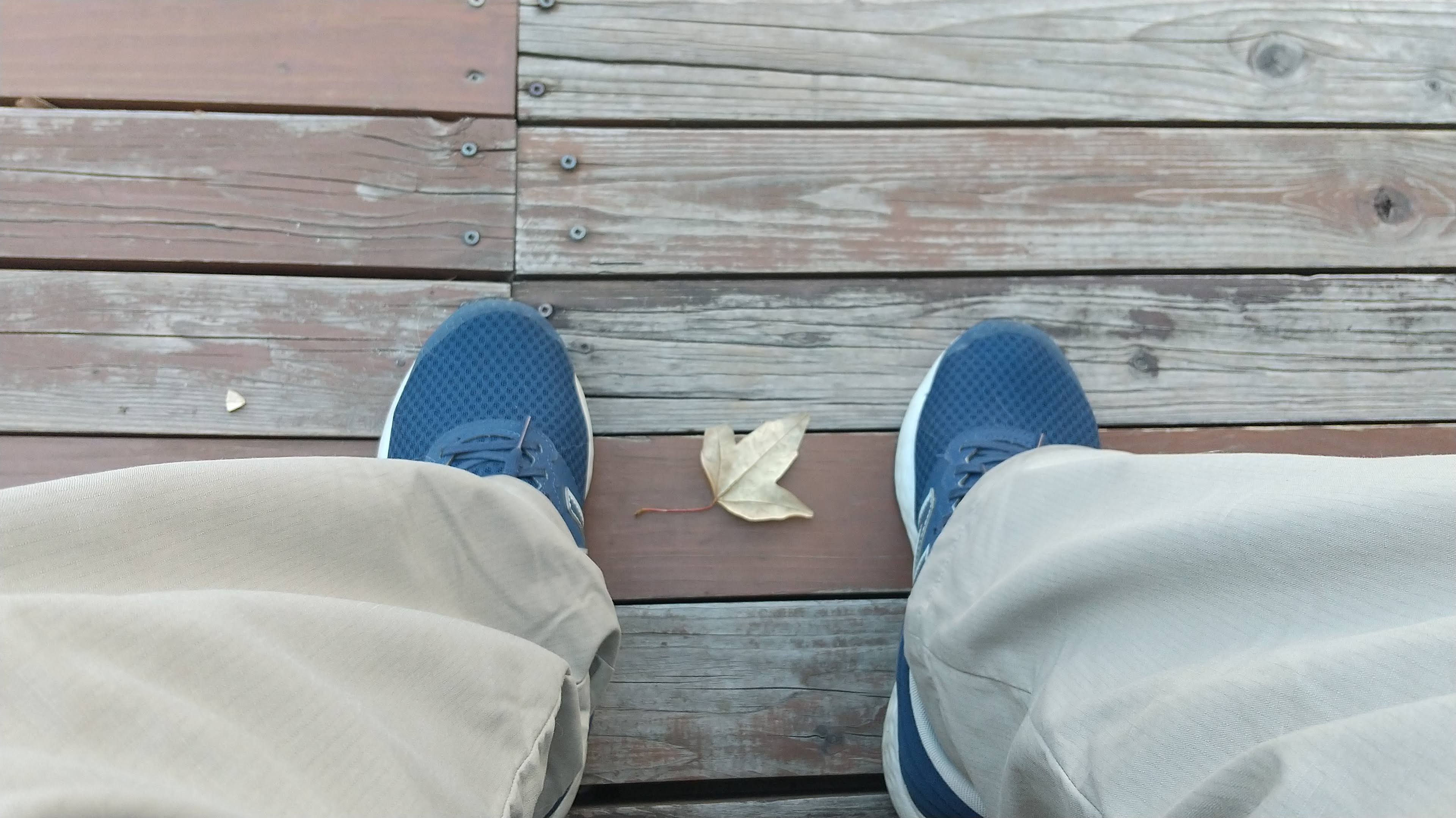 今日はほぼ ドンピシャ