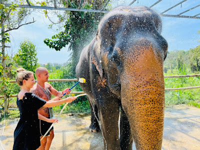 Scrub the skin of the elephant