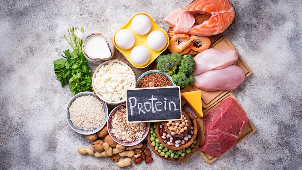 Protein là chất dinh dưỡng cần thiết cho một hệ miễn dịch khỏe mạnh