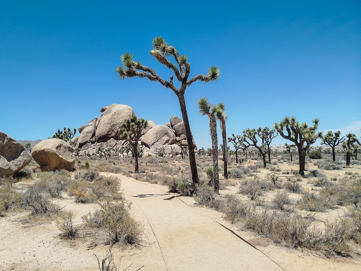 Cap Rock