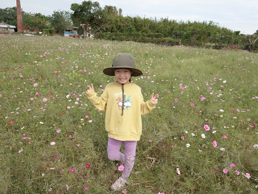 slider image 35