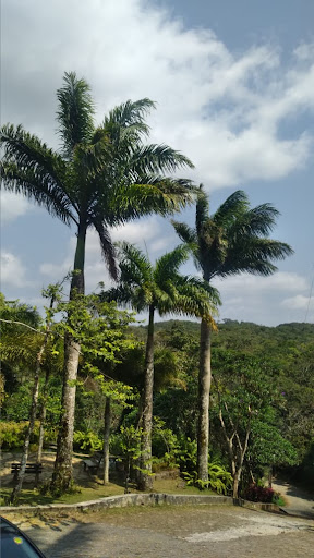 Google Photo