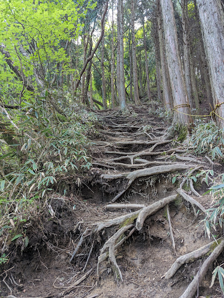 まだまだ急登が続き、ところどころにトラロープを補助に登っていきます。