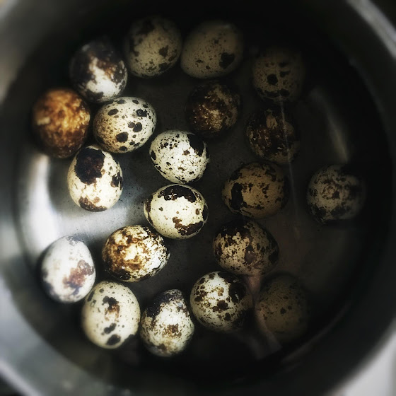 Iron online in eggs