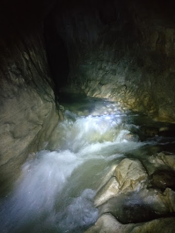 Cave Stream Caving New Zealand